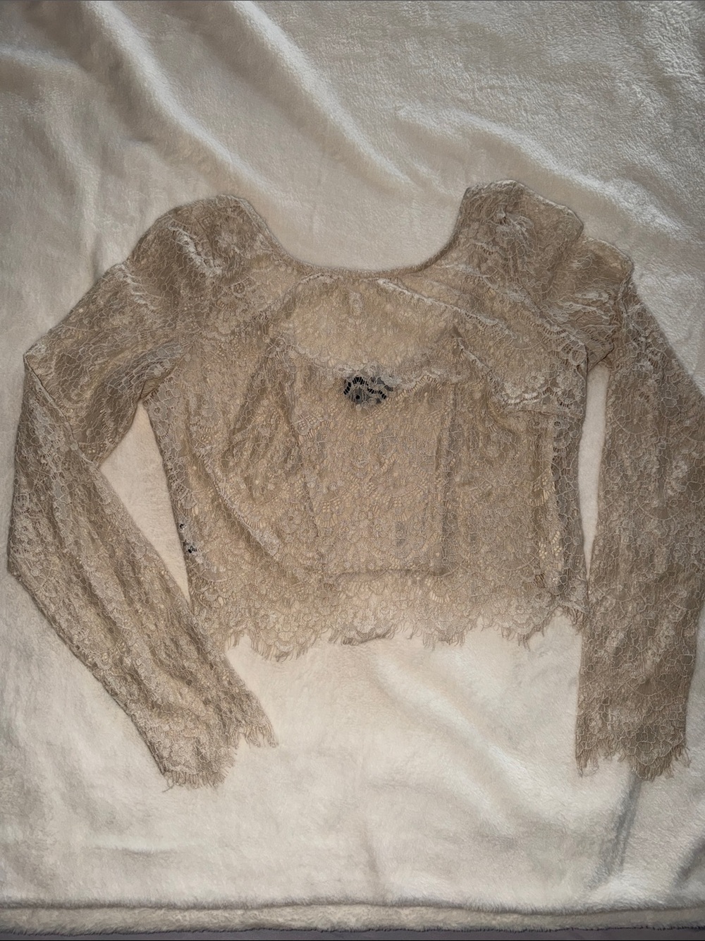 bebe Lace Long-Sleeve Crop Top in Cream